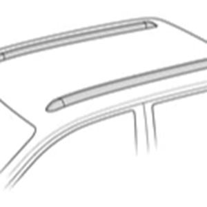 Dakdragers huren Geintegreerde Dakrails