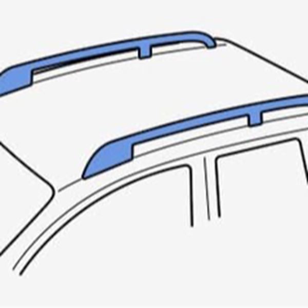 Dakdragers huren Open Dakrails