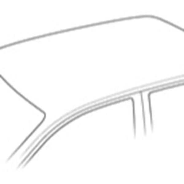 Dakdragers huren Glad Dak